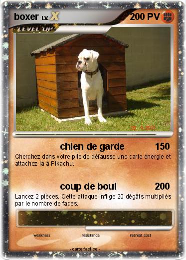 Pokemon boxer