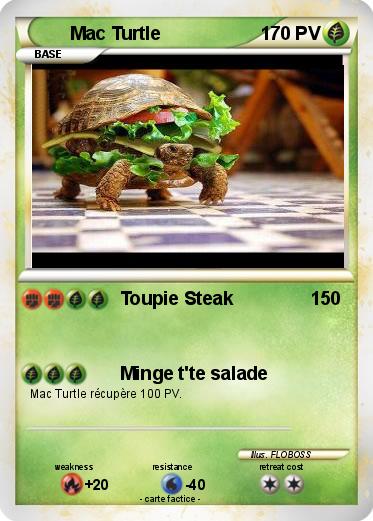 Pokemon Mac Turtle