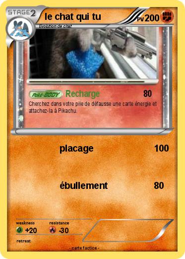 Pokemon le chat qui tu