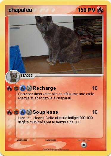 Pokemon chapafeu