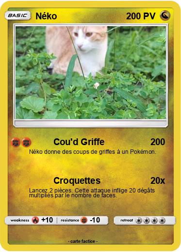 Pokemon Néko