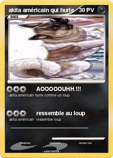 Pokemon akita américain qui hurle