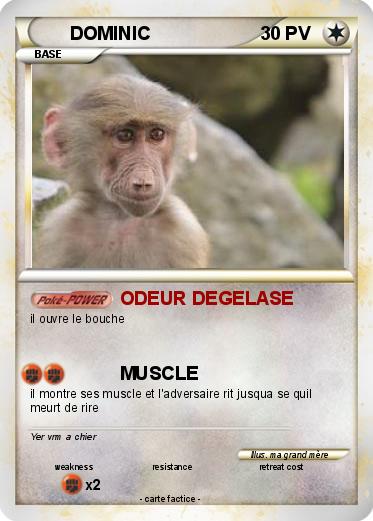 Pokemon DOMINIC