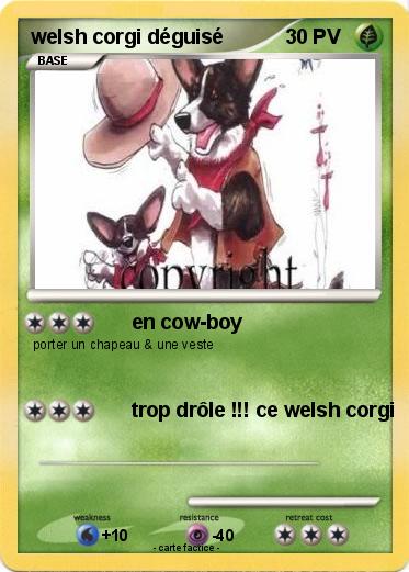 Pokemon welsh corgi déguisé