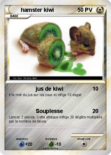 Pokemon hamster kiwi