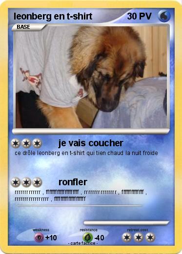 Pokemon leonberg en t-shirt