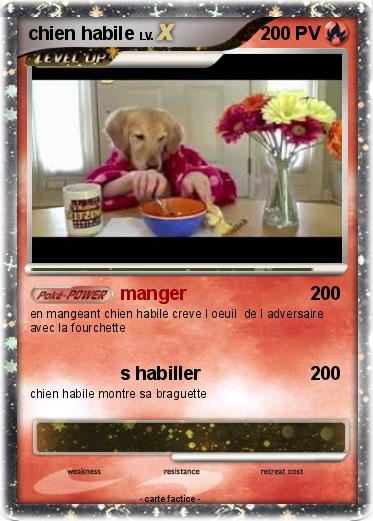 Pokemon chien habile