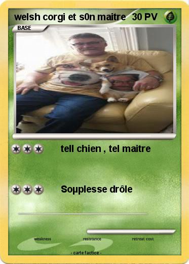 Pokemon welsh corgi et s0n maitre