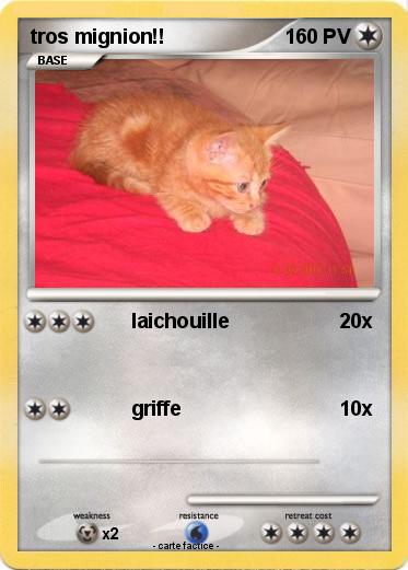 Pokemon tros mignion!!