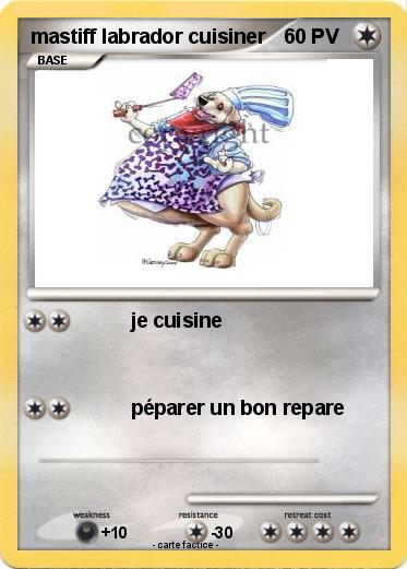 Pokemon mastiff labrador cuisiner