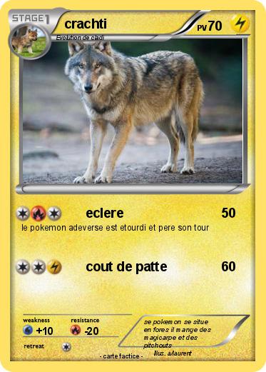 Pokemon crachti