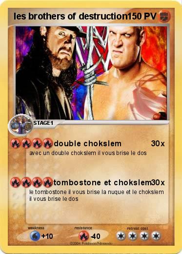 Pokemon les brothers of destruction