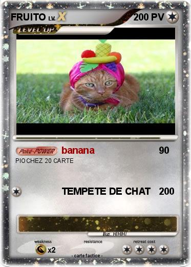 Pokemon FRUITO