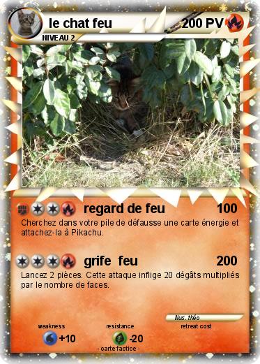 Pokemon le chat feu