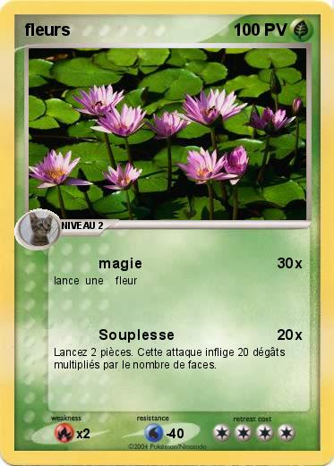 Pokemon fleurs
