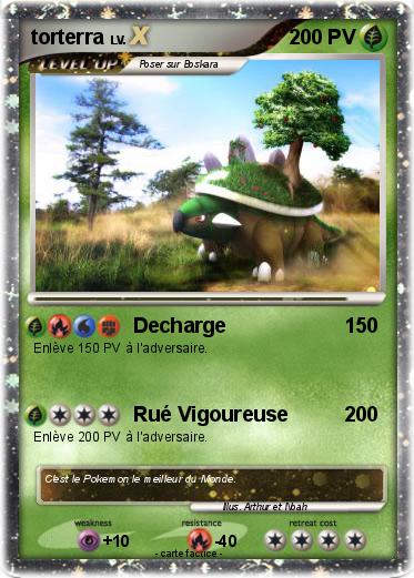 Pokemon torterra