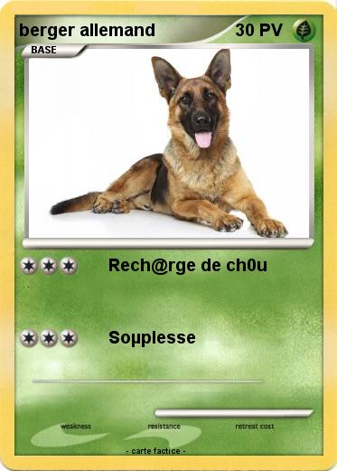 Pokemon berger allemand