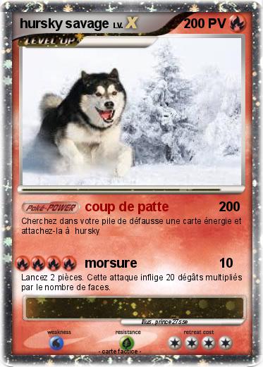 Pokemon hursky savage