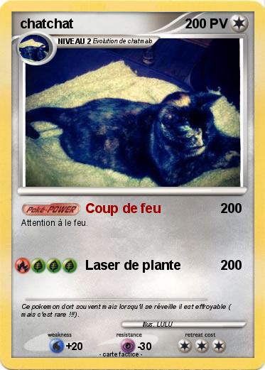 Pokemon chatchat