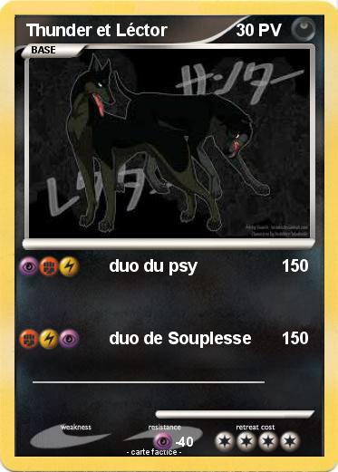 Pokemon Thunder et Léctor