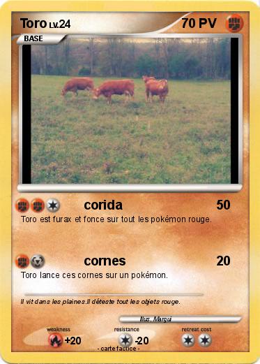 Pokemon Toro