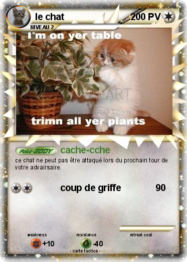 Pokemon le chat