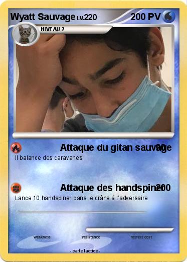 Pokemon Wyatt Sauvage