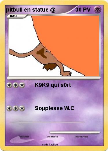 Pokemon pitbull en statue @