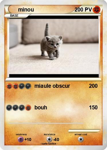 Pokemon minou