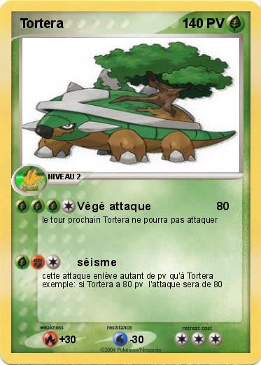 Pokemon Tortera