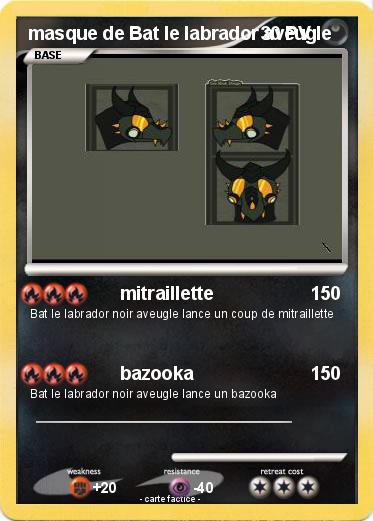 Pokemon masque de Bat le labrador aveugle