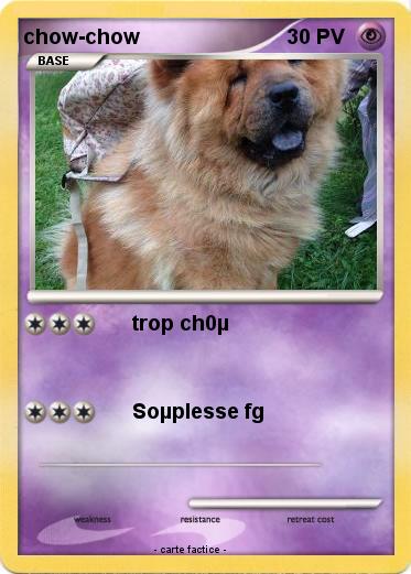 Pokemon chow-chow