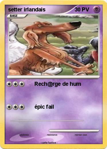 Pokemon setter irlandais