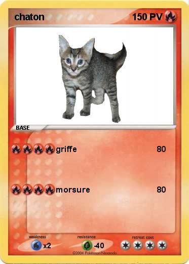 Pokemon chaton