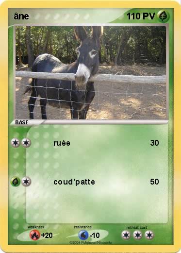 Pokemon âne