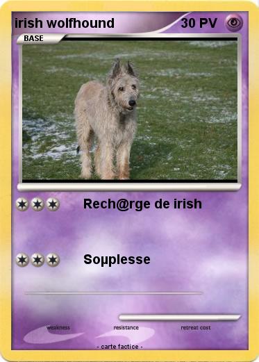 Pokemon irish wolfhound