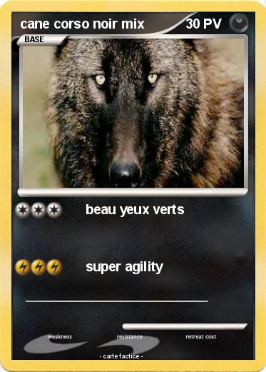 Pokemon cane corso noir mix