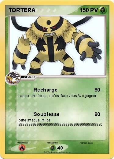 Pokemon TORTERA 