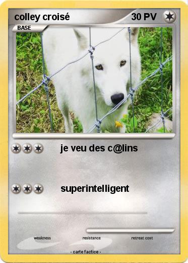 Pokemon colley croisé