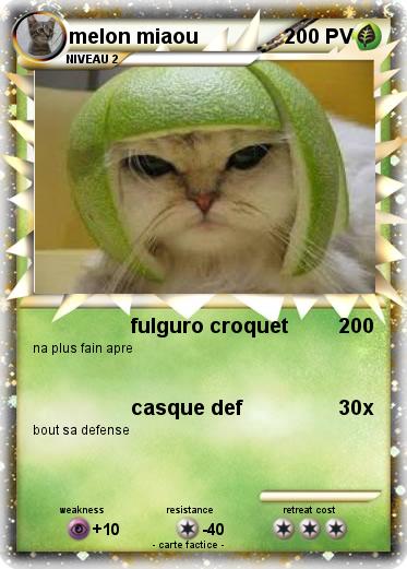 Pokemon melon miaou