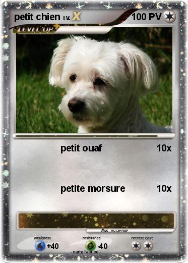 Pokemon petit chien