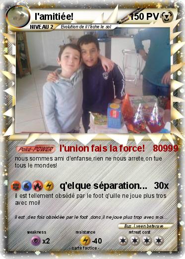 Pokemon l'amitiée!