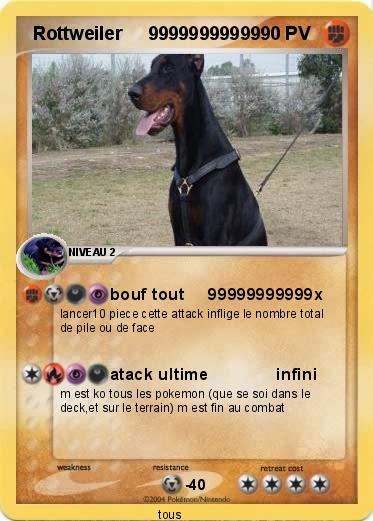 Pokemon  Rottweiler     99999999999