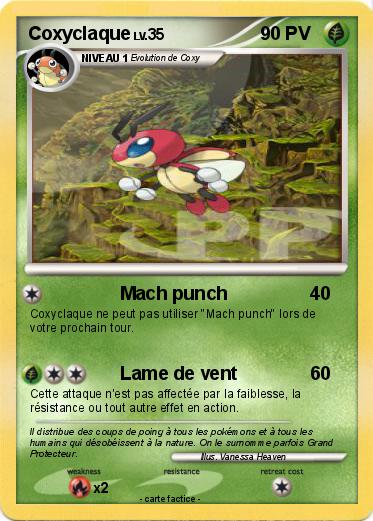Pokemon Coxyclaque