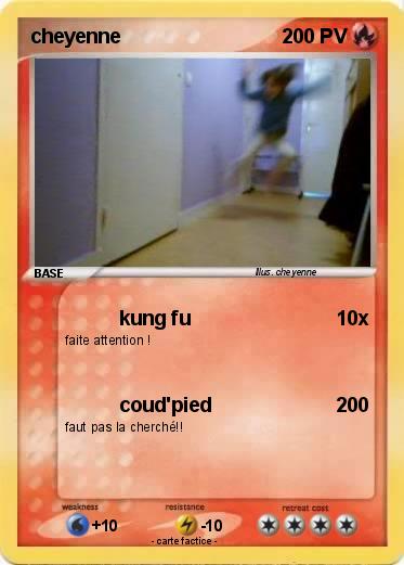 Pokemon cheyenne