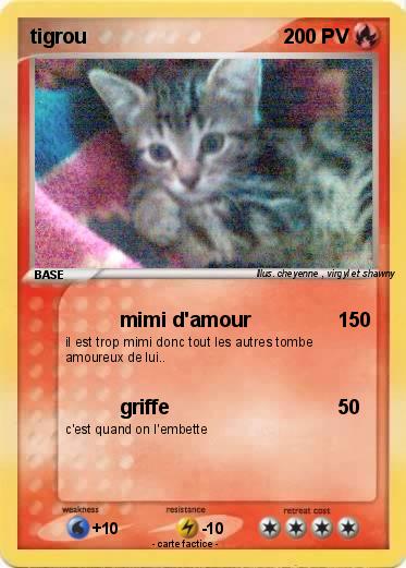 Pokemon tigrou