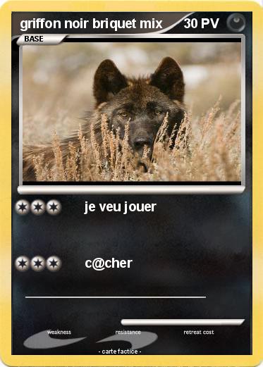 Pokemon griffon noir briquet mix