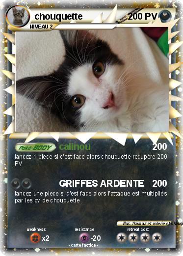 Pokemon chouquette