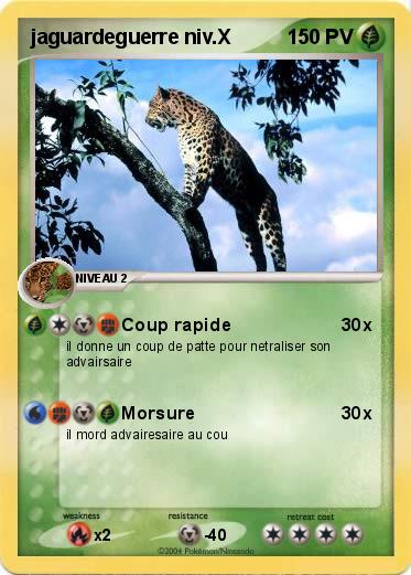 Pokemon jaguardeguerre niv.X