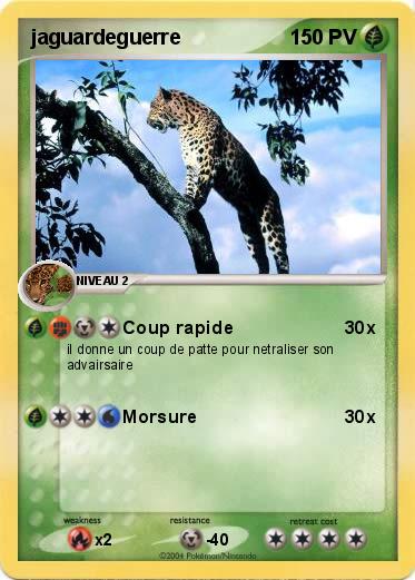 Pokemon jaguardeguerre